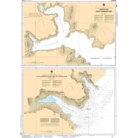 Service Hydrographique du Canada - 4505 - Plans - East Coast of the Island of Newfoundland/Côte Est de l'île de Terre Neuve