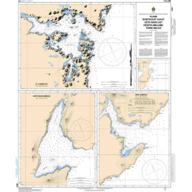 Service Hydrographique du Canada - 4507 - Plans: Northeast Coast / Côte Nord-Est Newfoundland / Terre-Neuve