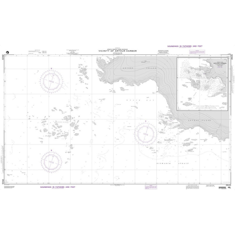 NGA - 29123 - Vicinity of Arthur Harbor - Plan: Arthur Harbor