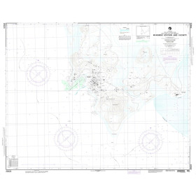 NGA - 29323 - McMurdo Station & Vicinity (Ross Island-Hut Point Peninsula)