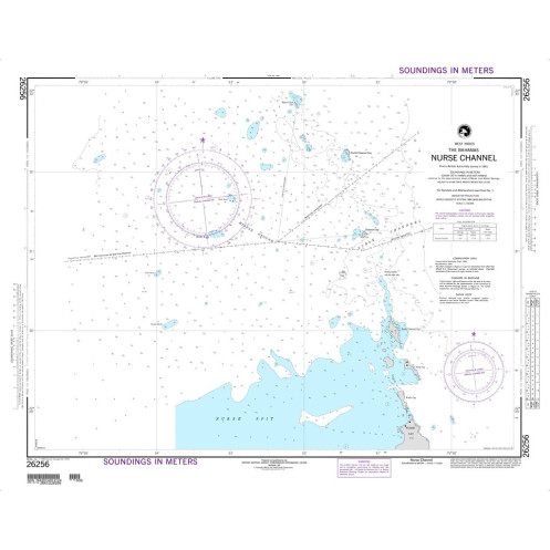 NGA - 26256 - Nurse Channel (West Indies)