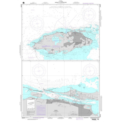 NGA - 26309 - Nassau andapproachees - Plan: Nassau