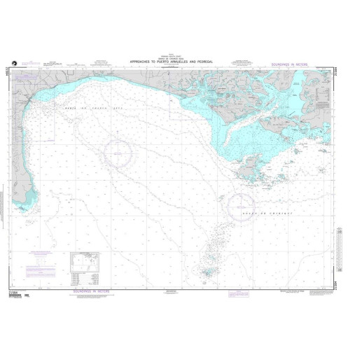 NGA - 21584 - Approachees to Puerto Armuelles and Pedregal