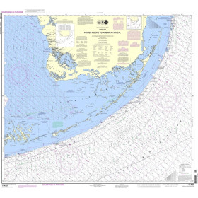 NOAA - 11450 - Fowey Rocks to American Shoal