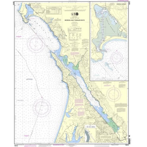 NOAA - 18643 - Bodega and Tomales Bays