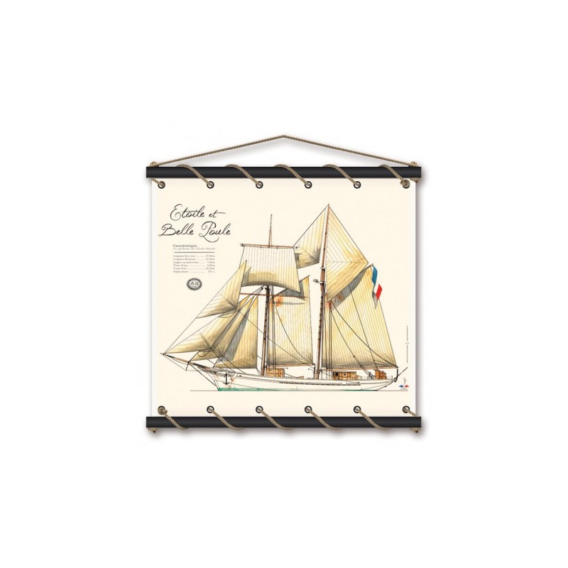 Toile tendue coton Etoile et Belle Poule - Aquarelle