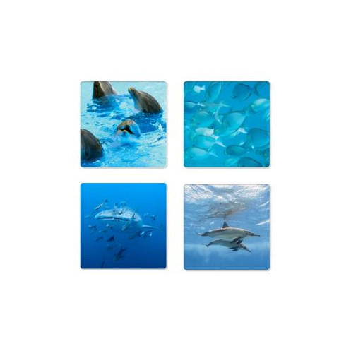 Personalized marine fauna coaster