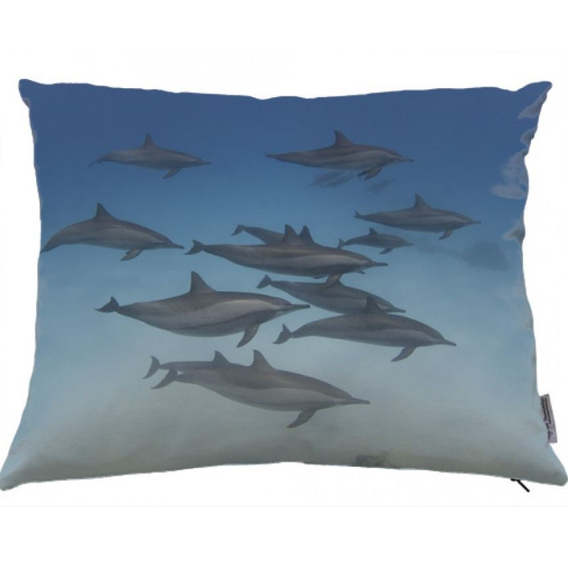 Dolphin cushion 01