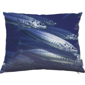 Fish cushion 01