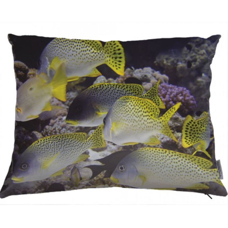 Fish cushion 02
