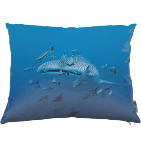 Coussin requin baleine