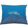 Whale shark cushion