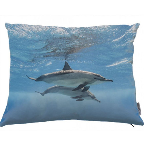 Coussin dauphin 03