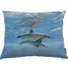 Coussin dauphin 03