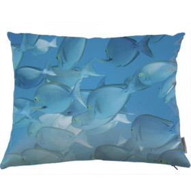 Fish cushion 03