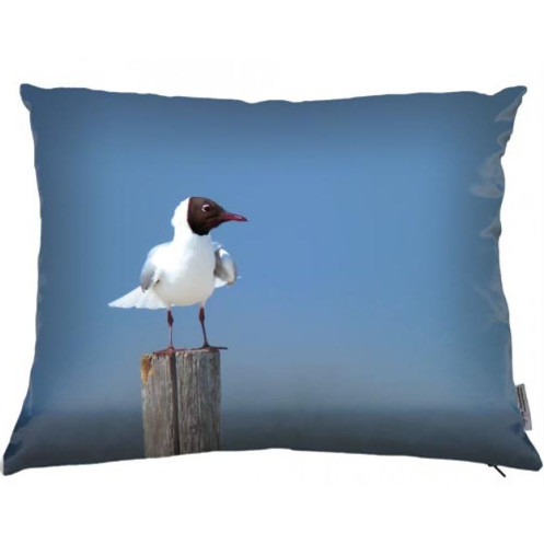 Bird cushion 04