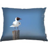 Coussin oiseau 04