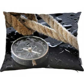 Compass cushion