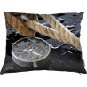 Compass cushion