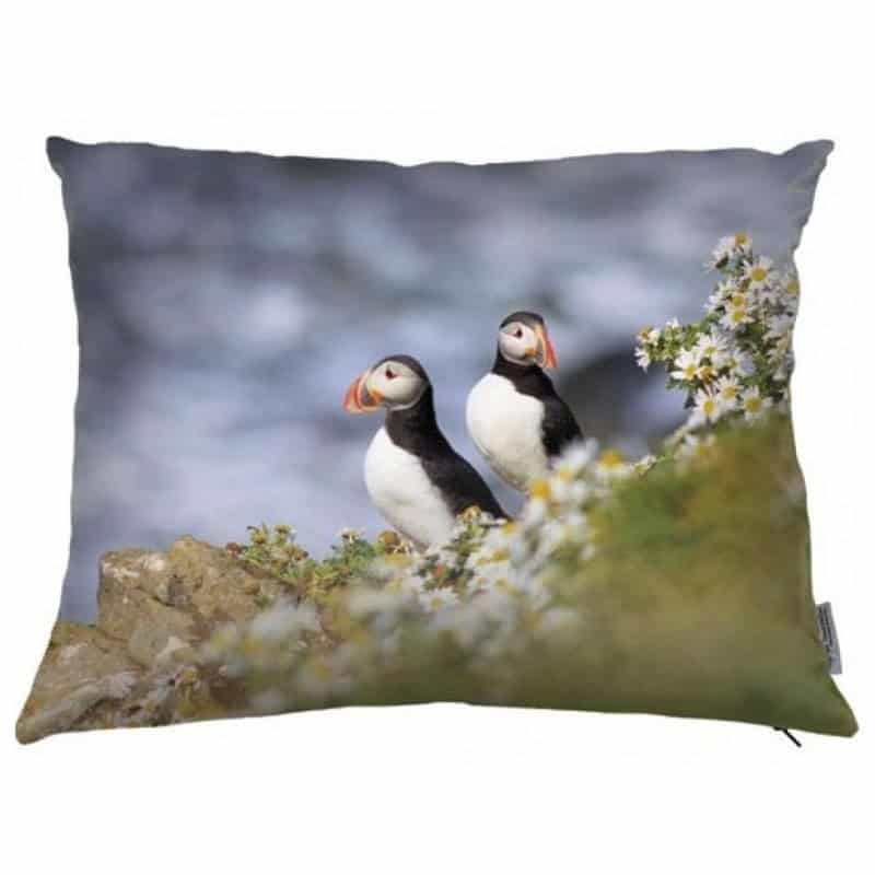 Coussin oiseau 06