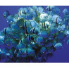 Lampe plage des demoiselles Blanc bleu