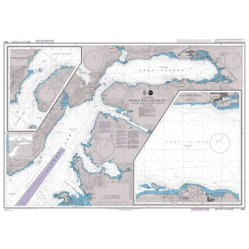 Admiralty - 4982 - Prince William Sound Valdez Arm and Port Valdez