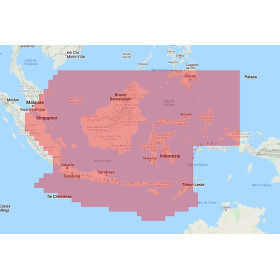 Navionics+ Regular NAAE023R Java et Bornéo - carte neuve