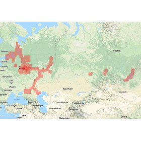 Navionics+ Large NAEU652L Eaux intérieures de Russie d'Europe - new chart