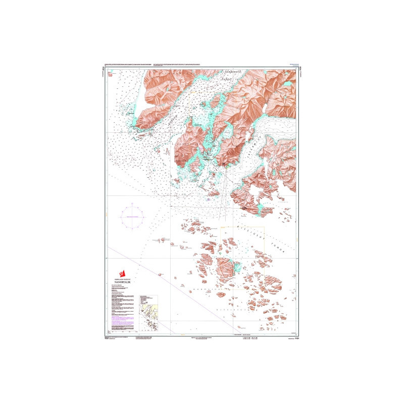 Danish Hydrographic Office - 1131 - Groenland Vestkyst. Nanortalik