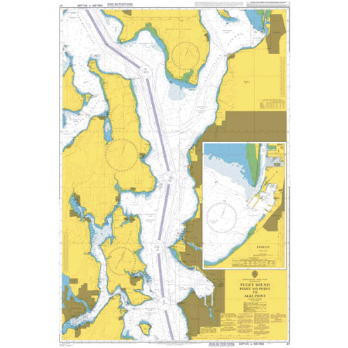 Admiralty Raster Geotiff - 47 - Puget Sound Point No Point to Alki Point