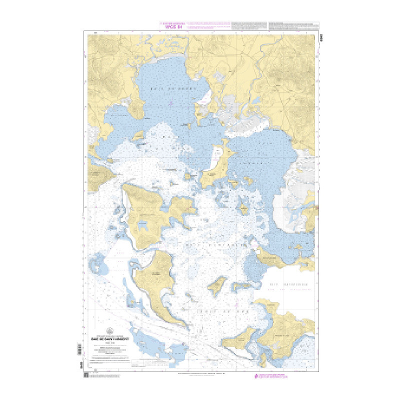 Shom C - 6540 - Baie de Saint-Vincent
