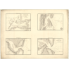 Reproduction carte marine ancienne - 357 - FLORIDE (Côte Ouest), TAMPA (Baie) - ATLANTIQUE, MEXIQUE (Golfe) - (1830 - 1873)