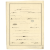 Reproduction carte marine ancienne - 994 - SOCOTRA (île), ASIR (Ras) - INDIEN (Océan), ARABIE (Mer), AFRIQUE (Côte Est) - (1843
