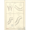 Reproduction carte marine ancienne - 2878 - HAUT-DON-NAI, BIEN-HOA - COCHINCHINE (Basse), VIETNAM - PACIFIQUE, CHINE (Mer) - (18