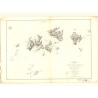 Reproduction carte marine ancienne - 3359 - SETO UTCHI, SETO NAIKAI, HARIMA NADA, IESHIMA GUNTO - JAPON - PACIFIQUE, INTERIEURE