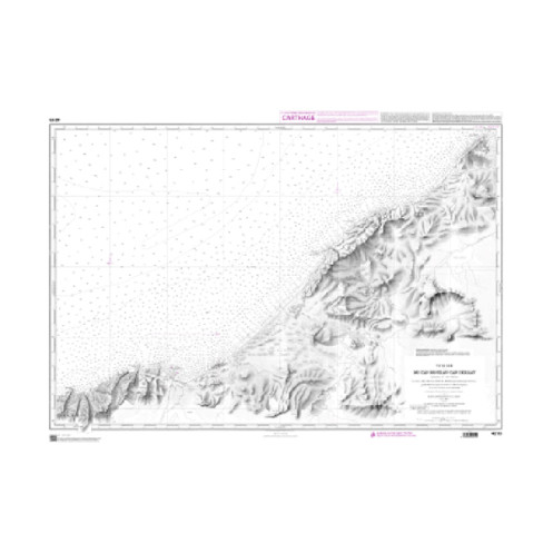 Shom Raster Géotiff - 4219 - De Cap Roux au Cap Serrat (Tabarca et Cap Négro)