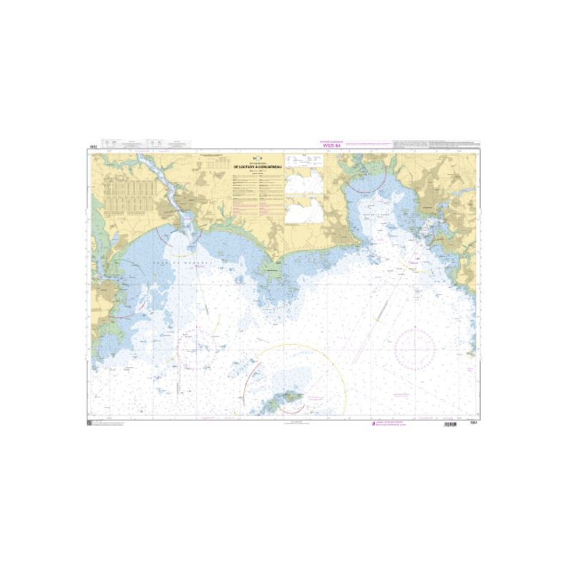 Shom Raster Géotiff - 7251 - De Loctudy à Concarneau