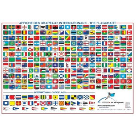 Shows international flags