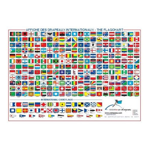 Shows international flags