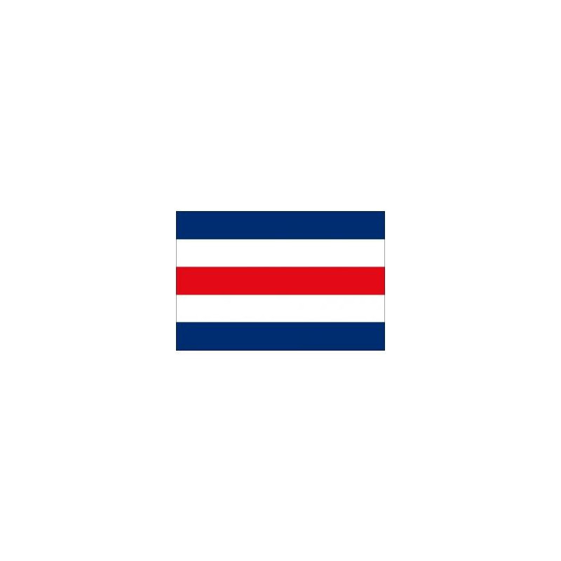 Code Charlie Flag