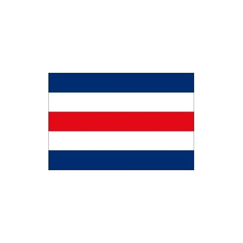Code Charlie Flag
