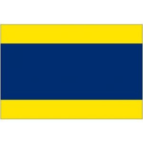 Delta code Flag