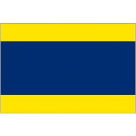Delta code Flag