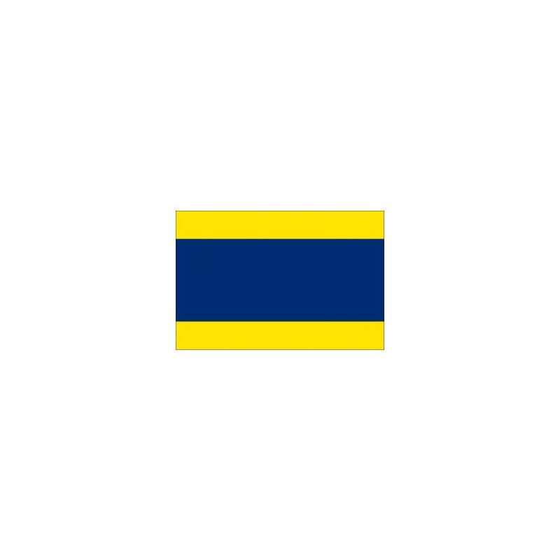 Delta code Flag