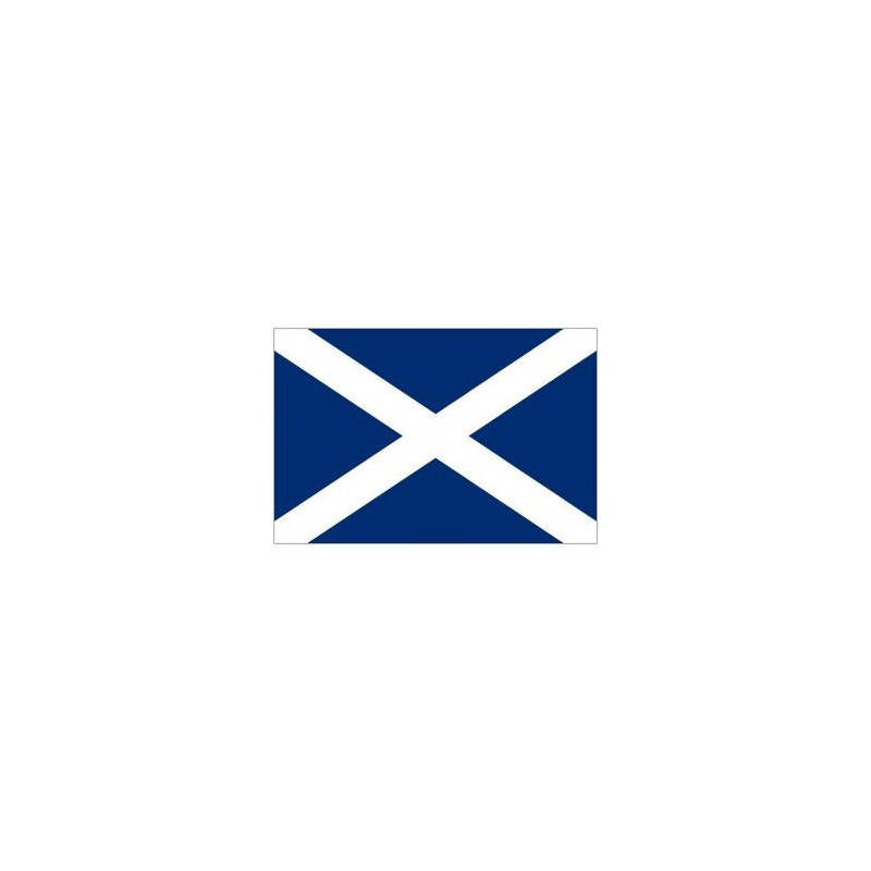 Mike Code Flag