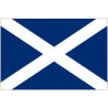 Mike Code Flag