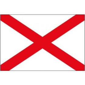Code Victor Flag