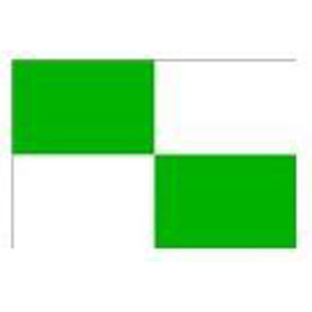 Pavillon damier vert / blanc - 30 x 45 cm
