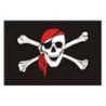 Crane and bandana pirate flag