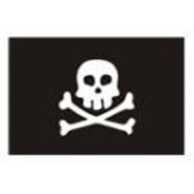 Pirate skull and bone flag